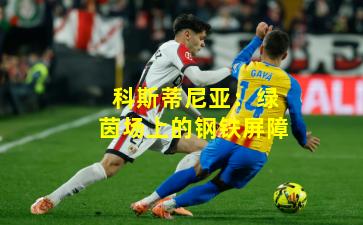 科斯蒂尼亚：绿茵场上的钢铁屏障