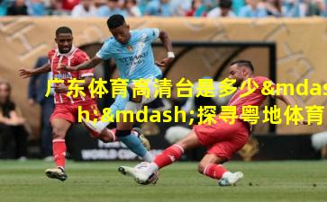 广东体育高清台是多少——探寻粤地体育赛事高清观看指南